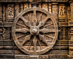 pexels-debphotography-20371109